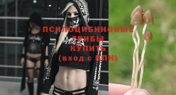 героин Касимов