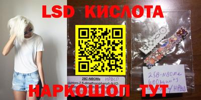 jwh Будённовск