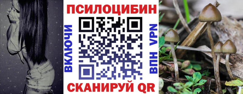 Галлюциногенные грибы Psilocybe  купить закладку  MEGA ссылки  Красноармейск 