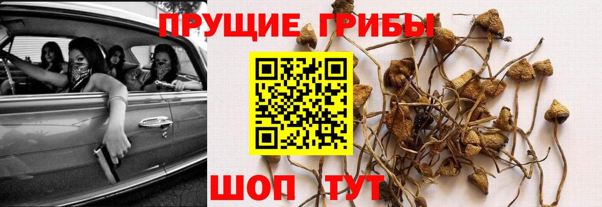 Псилоцибиновые грибы MAGIC MUSHROOMS Красноармейск