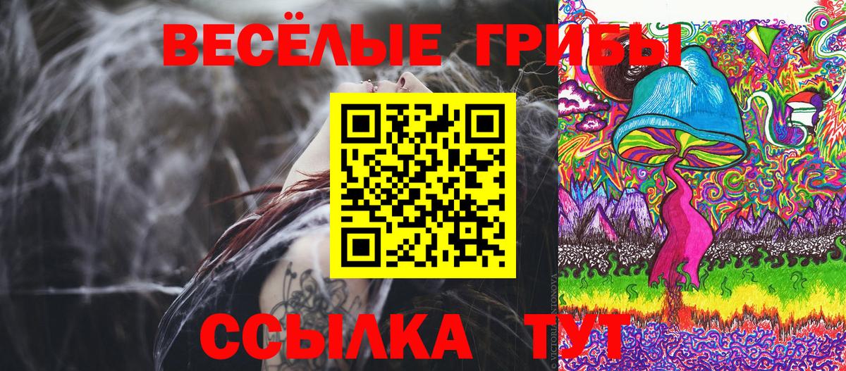 продажа наркотиков  Галлюциногенные грибы Psilocybine cubensis  Вход с VPN  Галлюциногенные грибы Cubensis  Красноармейск 